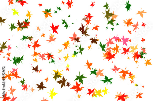 foglie colorate disegno dipingere