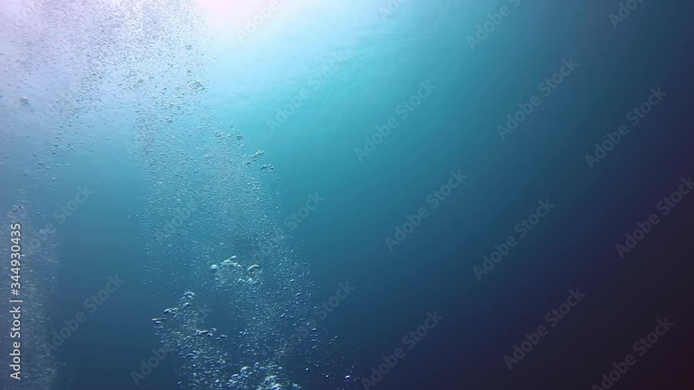 Slow motion shot of manta ray swimming under water surface, low angle view of fish in ocean - Nusa Penida, Bali
