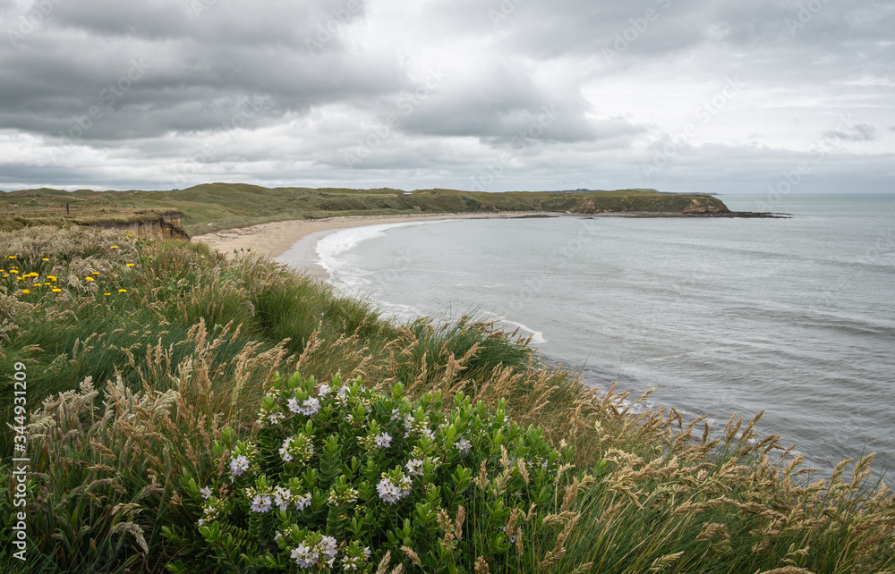 View on ocean shore and remote beach during overcast day. Shot made in Southland Region of New Zealand