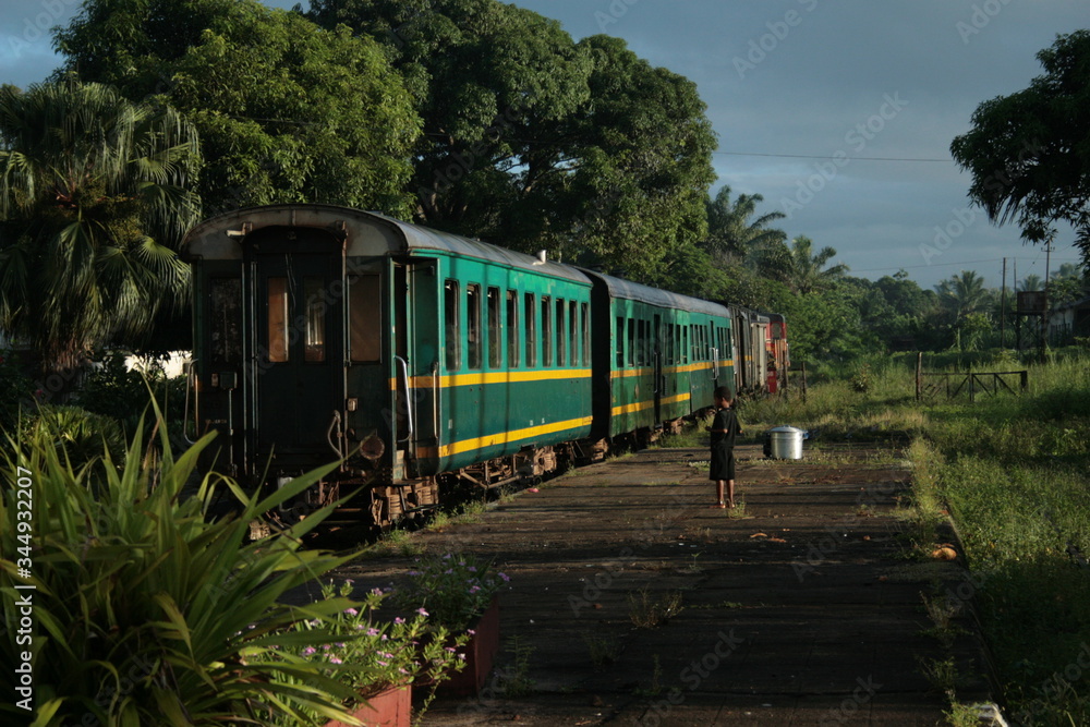 train voyage Asie Madagascar vert nature couleur jungle transport paysages collines montagnes 