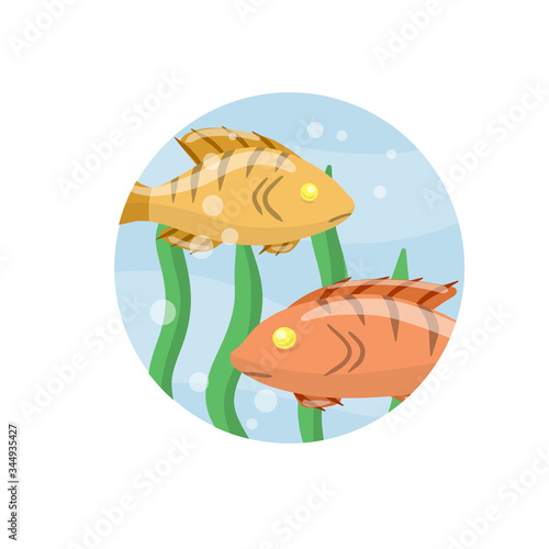 Set of fish. River animal with scales, fins and tail. Underwater life. Water with algae. Element of fishing. Cartoon flat illustration. Wildlife icon in circle