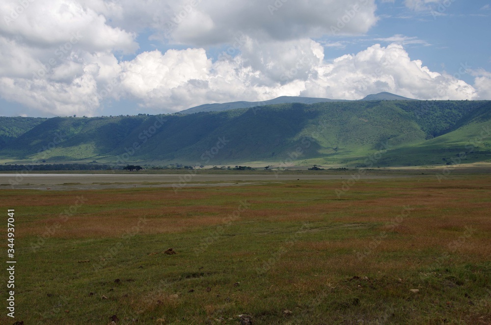Landscape in the Ngorongoro crater in Tanzania, East Africa