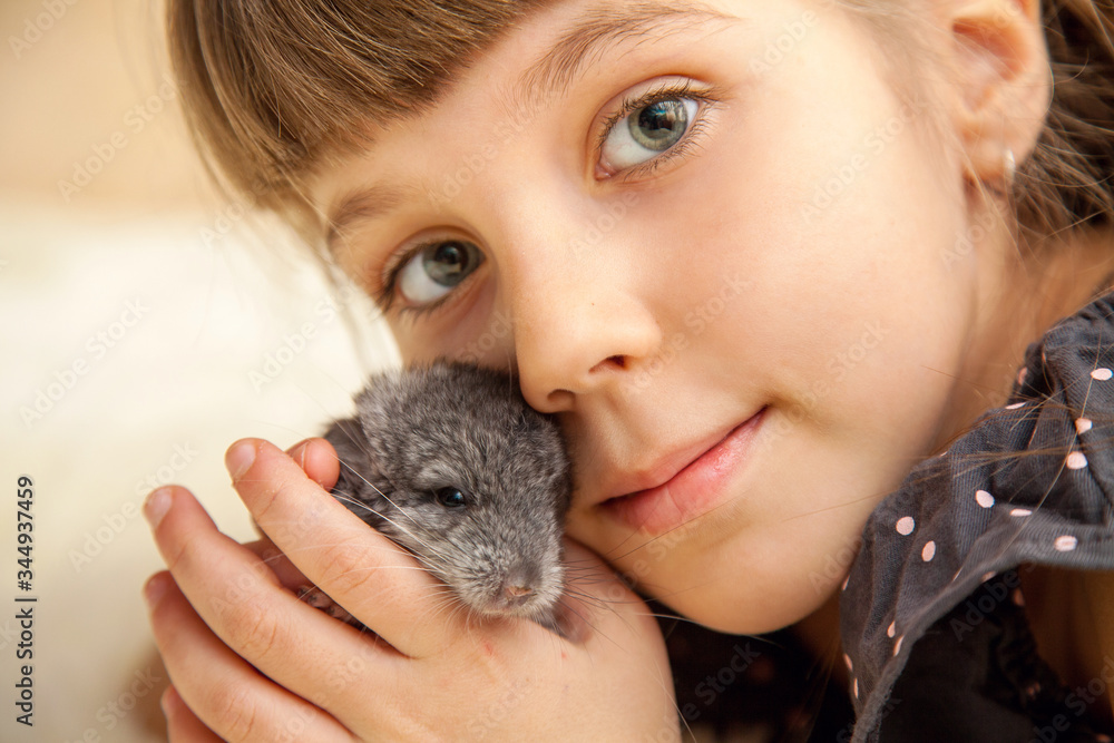 Girl with a little fluffy chinchilla Girl with a little fluffy chinchilla