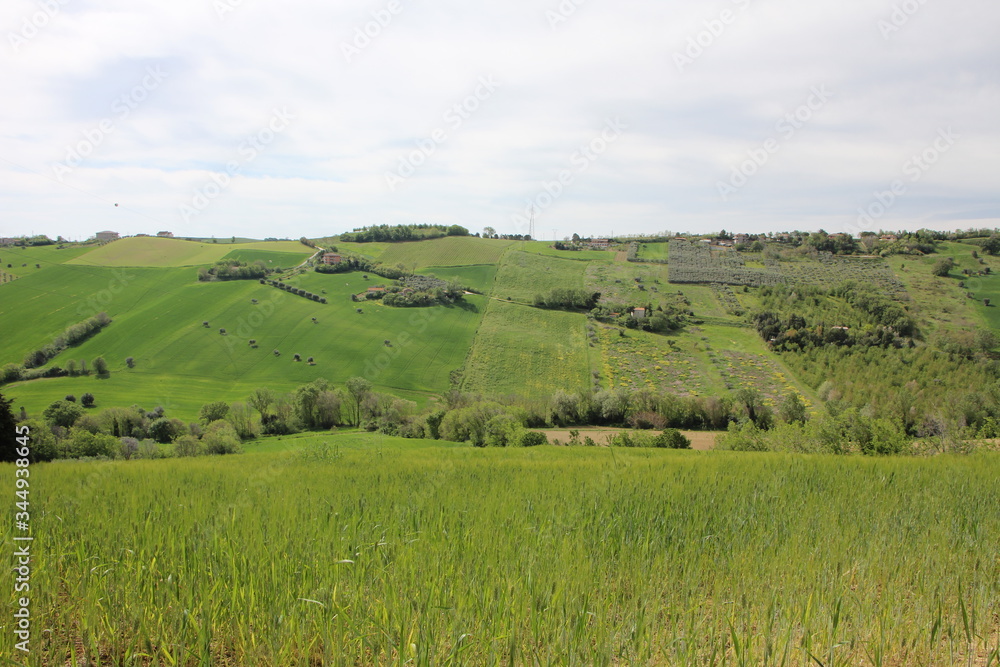 Verdi colline in primavera 