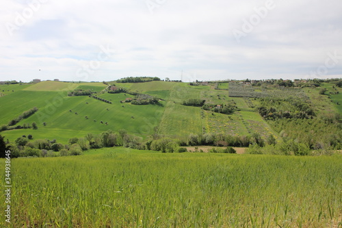 Verdi colline in primavera  © giacomomaroni