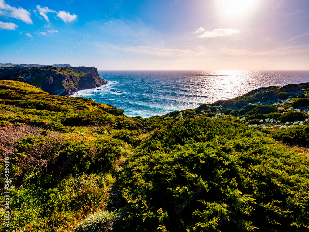 Obraz premium Wild vegetation in spring with a view of the cliff of Lampianu, Stintino, Sardinia