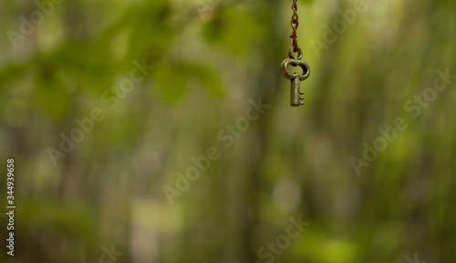 A decorative small key hanging from a tree branch somewhere in the deep woods of Vitosha mountain.  © VenGin