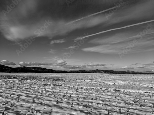 Black and White Photography of Stubble filled field after the corn harvest during winter snow season