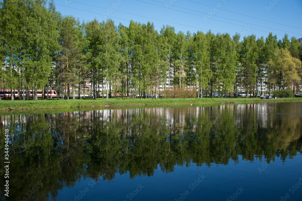 Fototapeta premium lake in the park