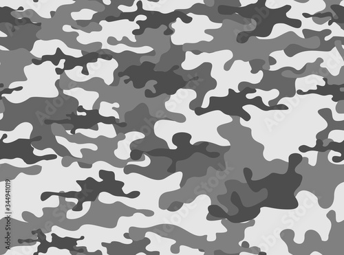 Camouflage winter classic horizontal. vector design