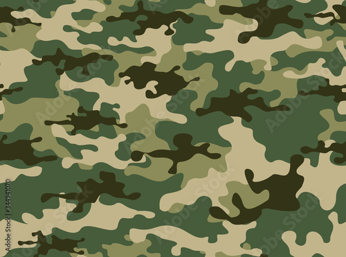 Camouflage military pattern.Print. Vector