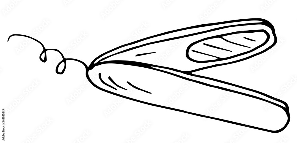 Hair curling, outline illustration in doodle style. Design element for the design of business cards, flyers, websites of beauty salons, and hairdressers Hair curling, outline illustration in doodle style. Design element for the design of business cards, flyers, websites of beauty salons, and hairdressers