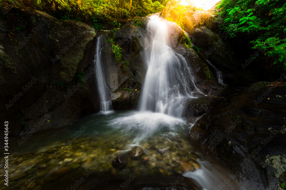 waterfall in the forest waterfall in the forest