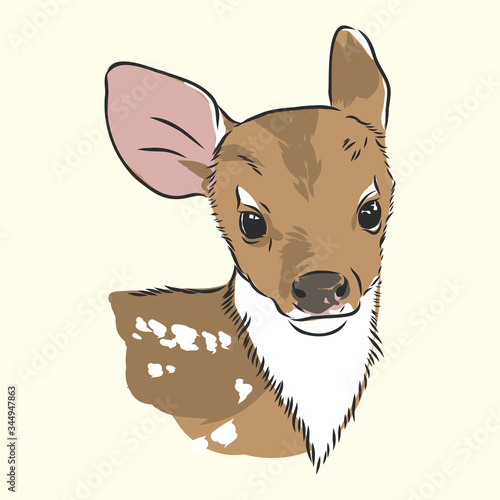 Young deer vector silhouette. fawn, vector sketch illustration