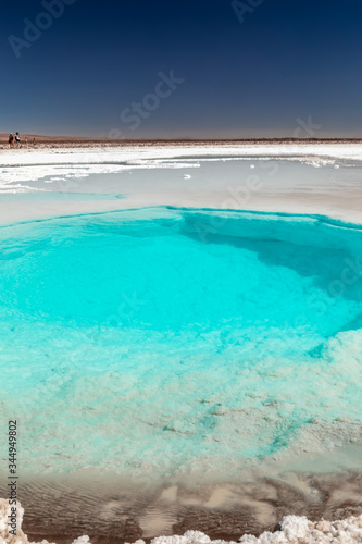 Hidden lagoon Baltinache (Lagunas escondidas Baltinache) Atacama Desert, Chile