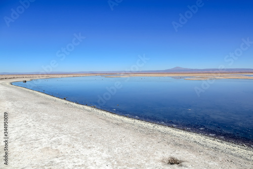 Salar de Atacama Chile