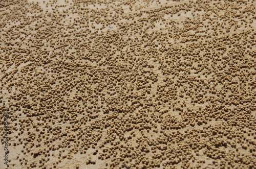 Wallpaper Mural Austalia Torontodigital.ca