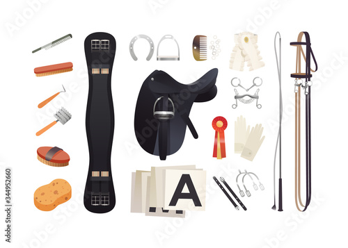Equestrian sport items, dressage harness essentials and horse grooming tools