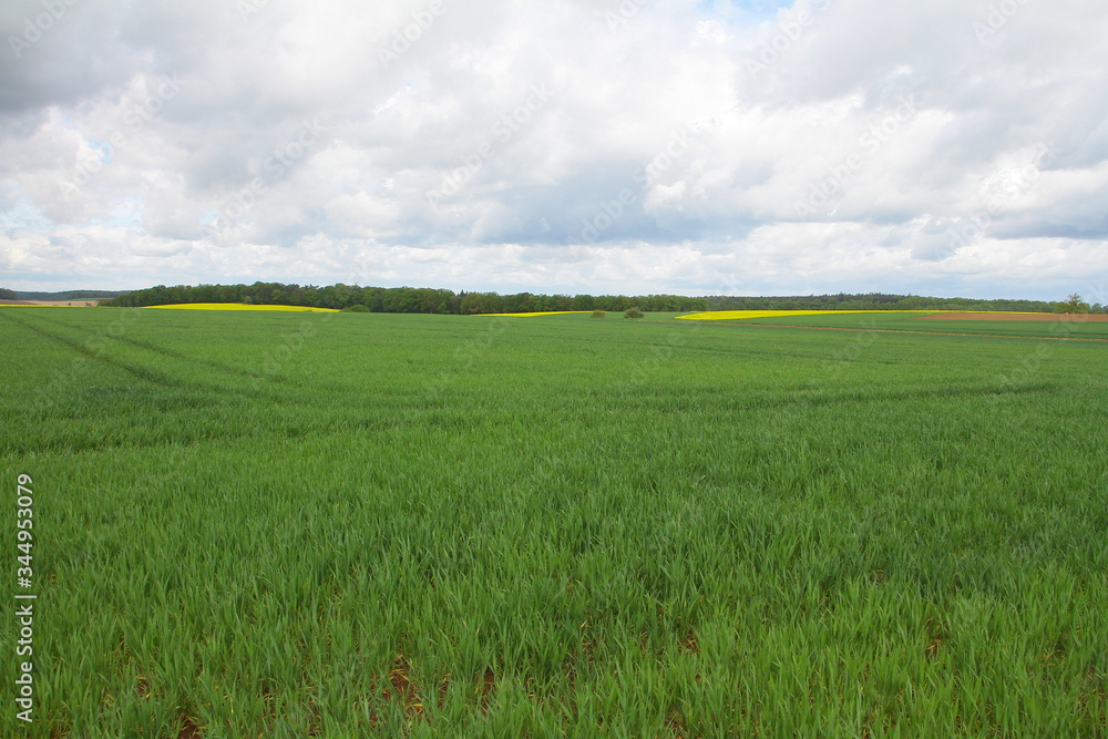 Fototapeta premium Landschaft