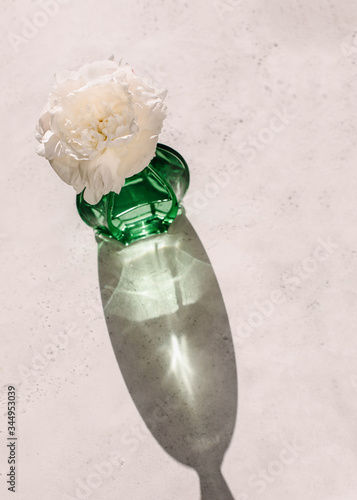 Green glass bottle with peony in it and its shadow casted on concrete surface photo