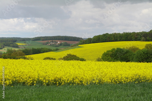 Landschaft