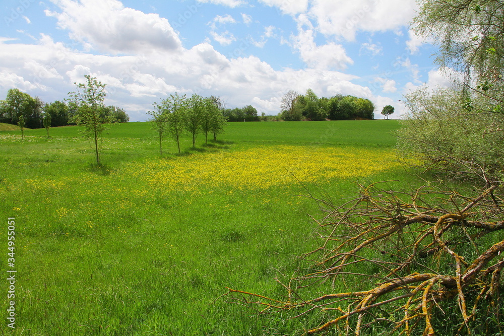 Fototapeta premium landschaft