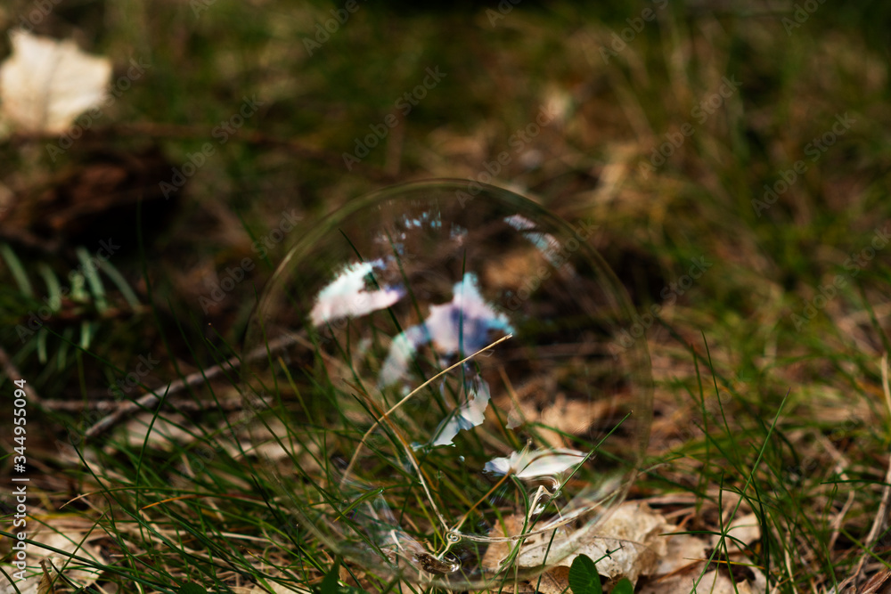 Bubble in the Grass Bubble in the Grass