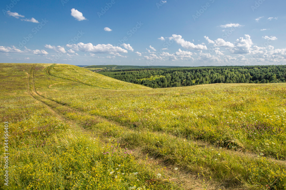 rural dirt road, car tracks on crumpled grass, on a sloping meadow in the hills rural dirt road, car tracks on crumpled grass, on a sloping meadow in the hills