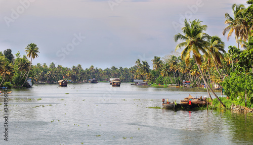 Canvas-taulu Boathouses sailing in the backwaters in Allepey, Kerala, India.