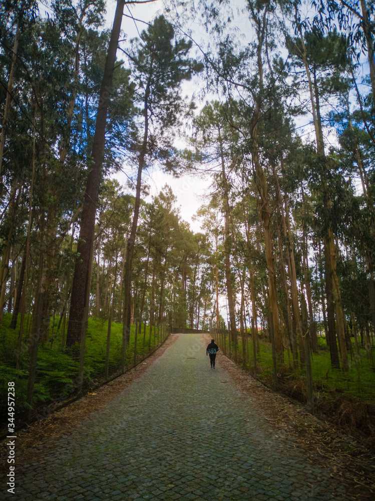 Fototapeta premium Mid age woman walking alone in the shadow