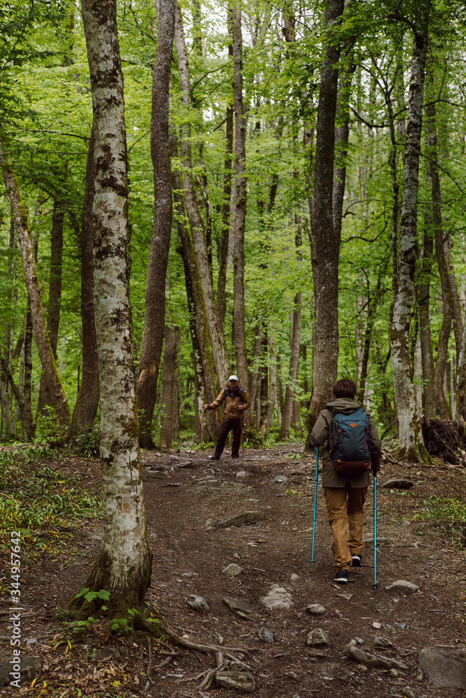 A hiking couple walking along in the mountain forest A hiking couple walking along in the mountain forest