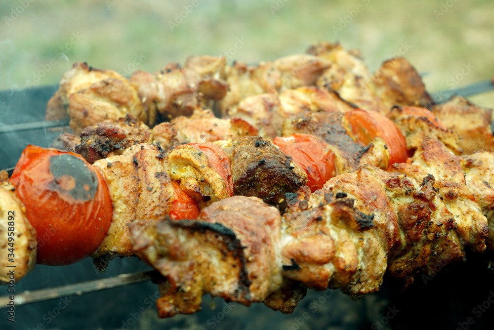 BBQ. Barbecue on skewers on coals in the grill close up with tomatoes, onion and peppers. Barbecue camping dinner.