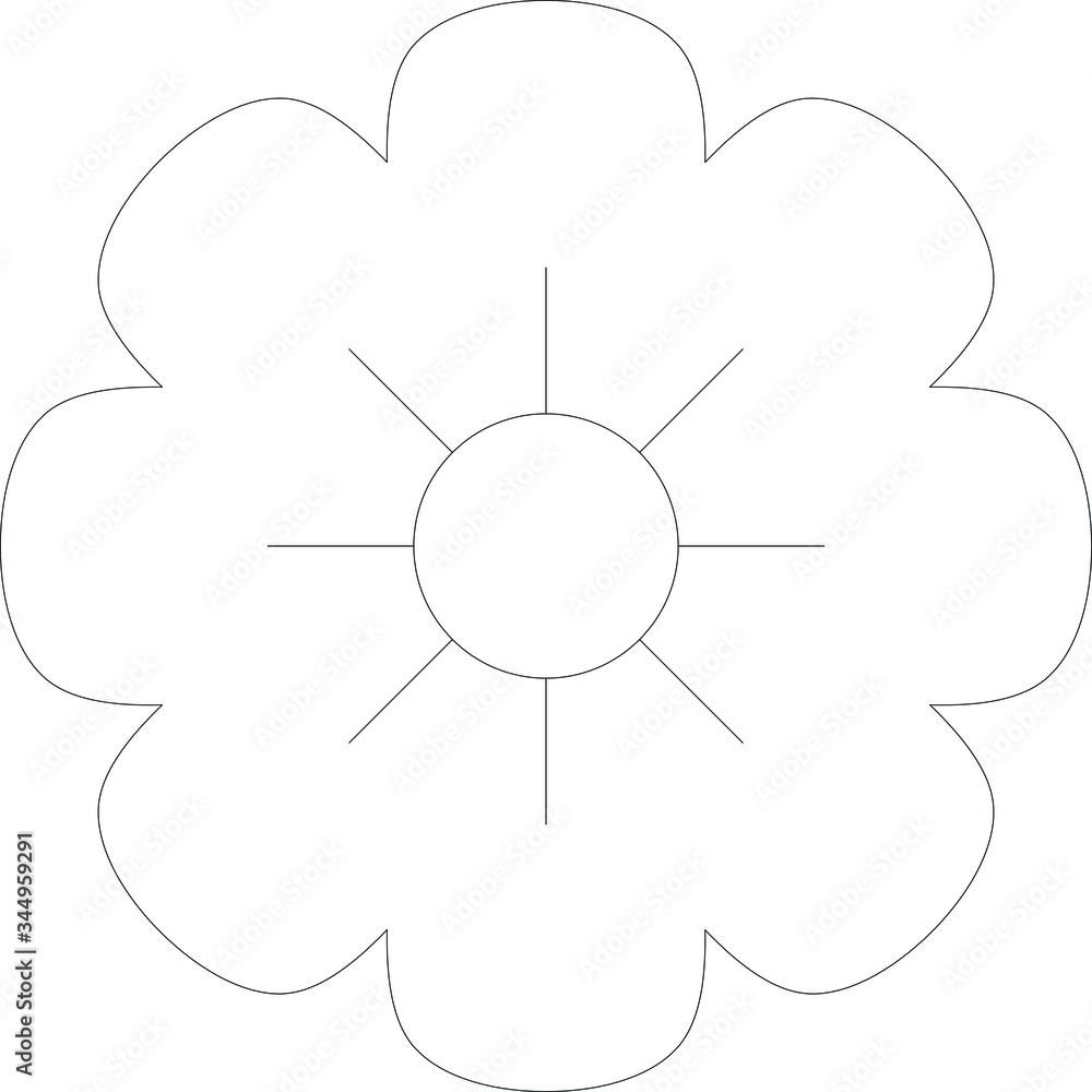 Fototapeta premium bloom