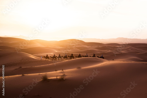 camel train in sahara desert morocco