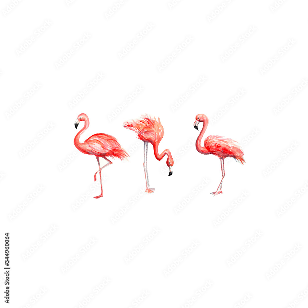 Obraz premium Aquarelle painting of flamingo sketch art pattern illustration