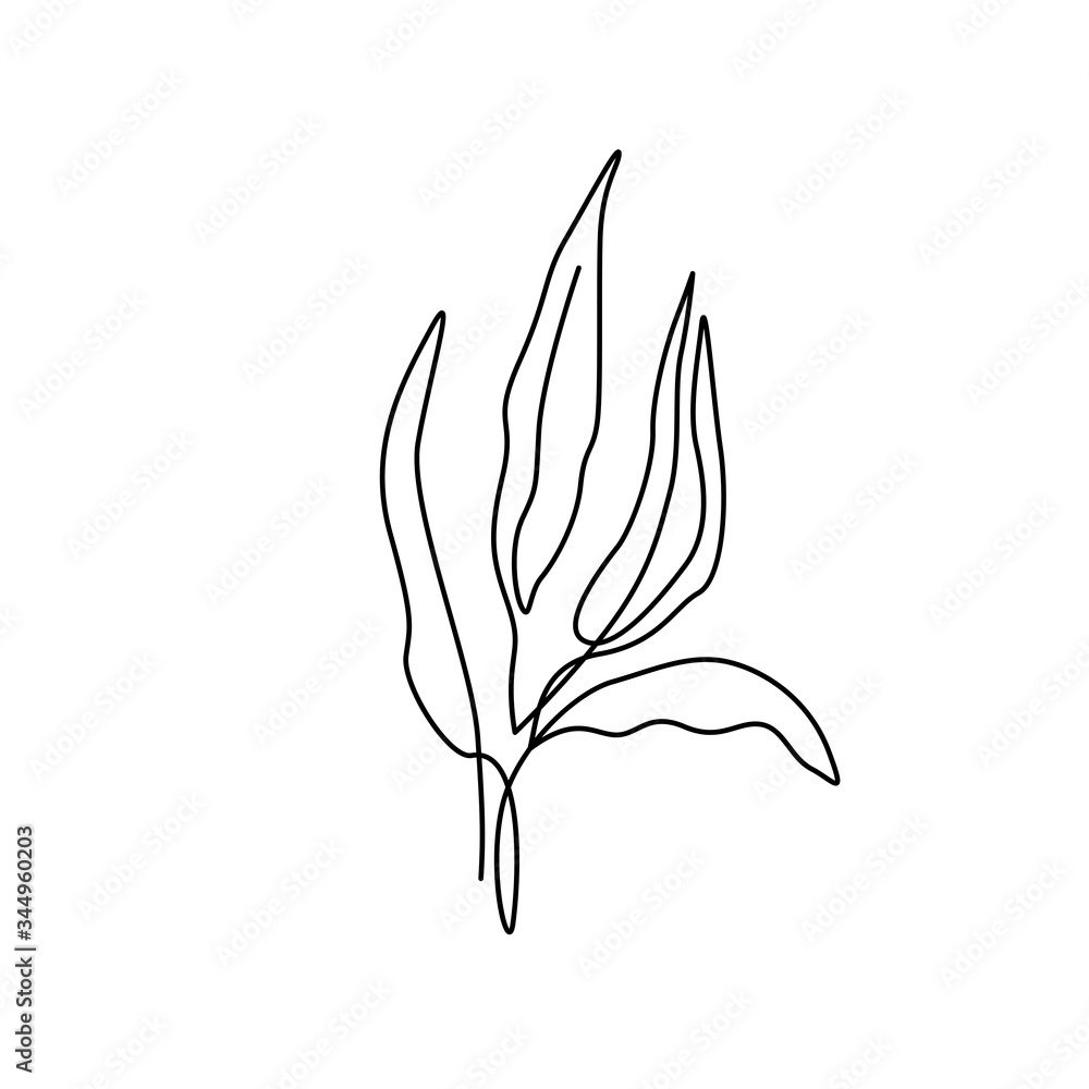 Beautiful plant in minimal line style. Modern fashion linear leaves for logo, emblem template. Vector illustration