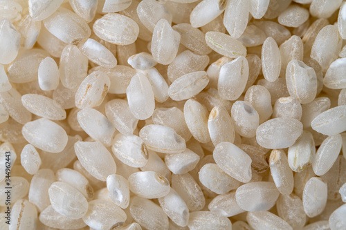 close up de arroz de calasparra con iluminación de estudio