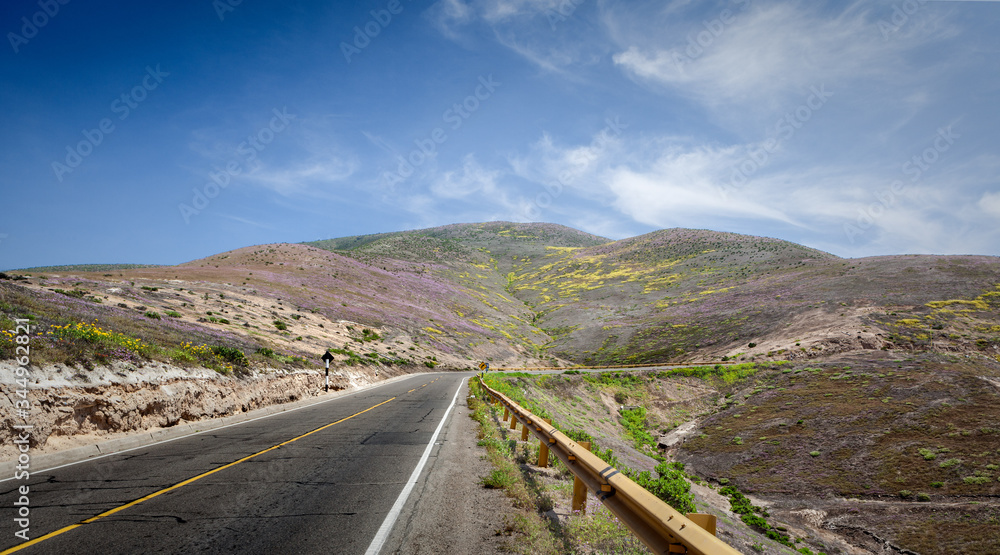 Peru Matarani green colored road