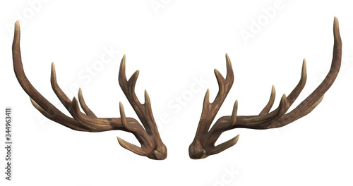 Fotografia, Obraz Deer antlers isolated on white 3d rendering