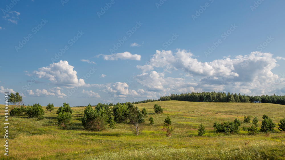 rare trees in a valley between hills with mowed grass