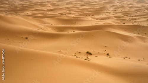 The huge seas of dunes of Erg Chebbi near Merzouga in southeastern Morocco.