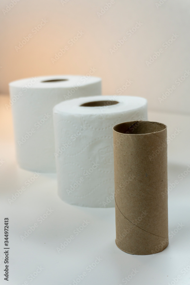 Descending Rolls of White Toilet Paper TP - from largest roll in back to empty cylinder roll in front (Vertical format) Descending Rolls of White Toilet Paper TP - from largest roll in back to empty cylinder roll in front (Vertical format)