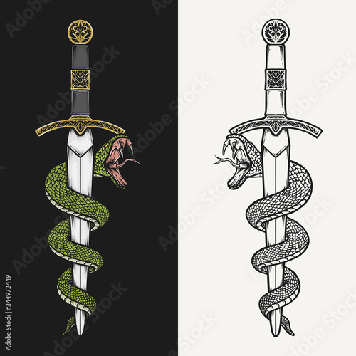 Hand drawing vintage dagger and green mamba vector illustration