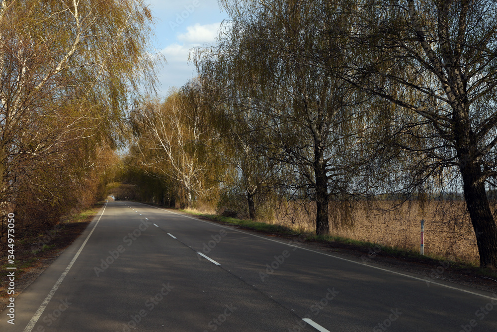 Fototapeta premium The landscape of road, trees and sky