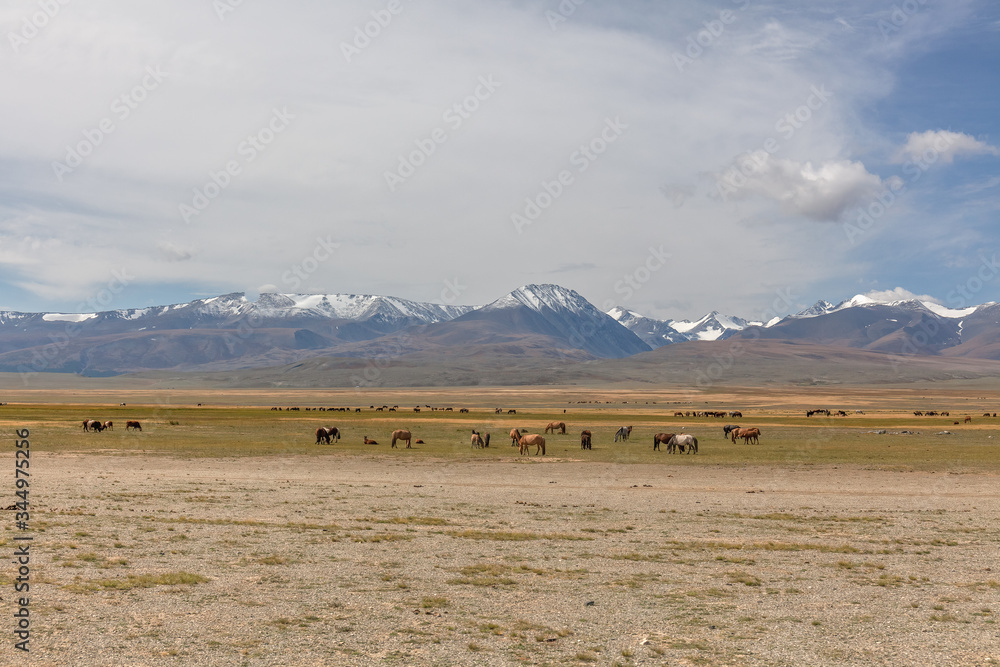 Obraz premium Mongolia landscape. Altai Tavan Bogd National Park in Bayar-Ulgii