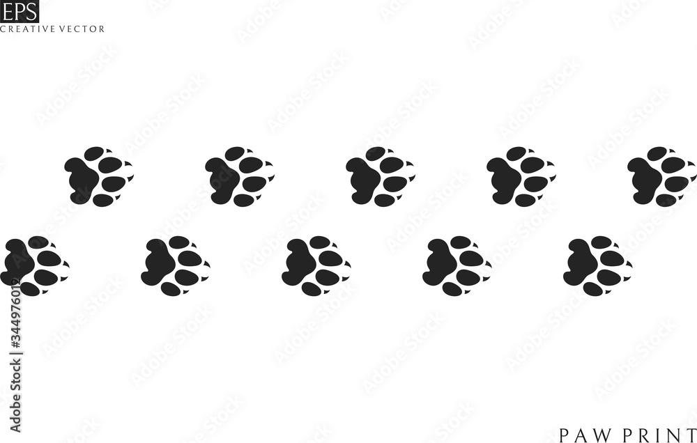 Lion paw prints. Silhouette. Isolated paw prints on white background Lion paw prints. Silhouette. Isolated paw prints on white background
