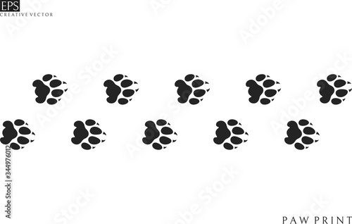 Lion paw prints. Silhouette. Isolated paw prints on white background