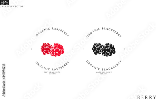 Natural juice. Logo template. Raspberry and blackberry juice 