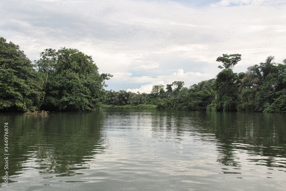 Fototapeta premium Panamanian river