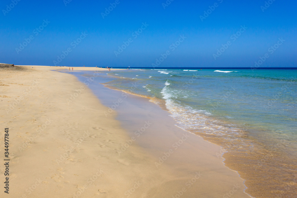 Long empty seashore on sunny day in Fuerteventura, Spain. Amazing natural landscape in Canary Islands. Summer vacation, travel destination, idyllic paradise concepts